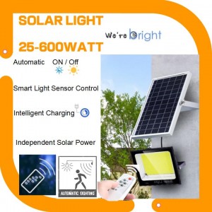 25W Dust to Dawn Solar Power LED Flood lights